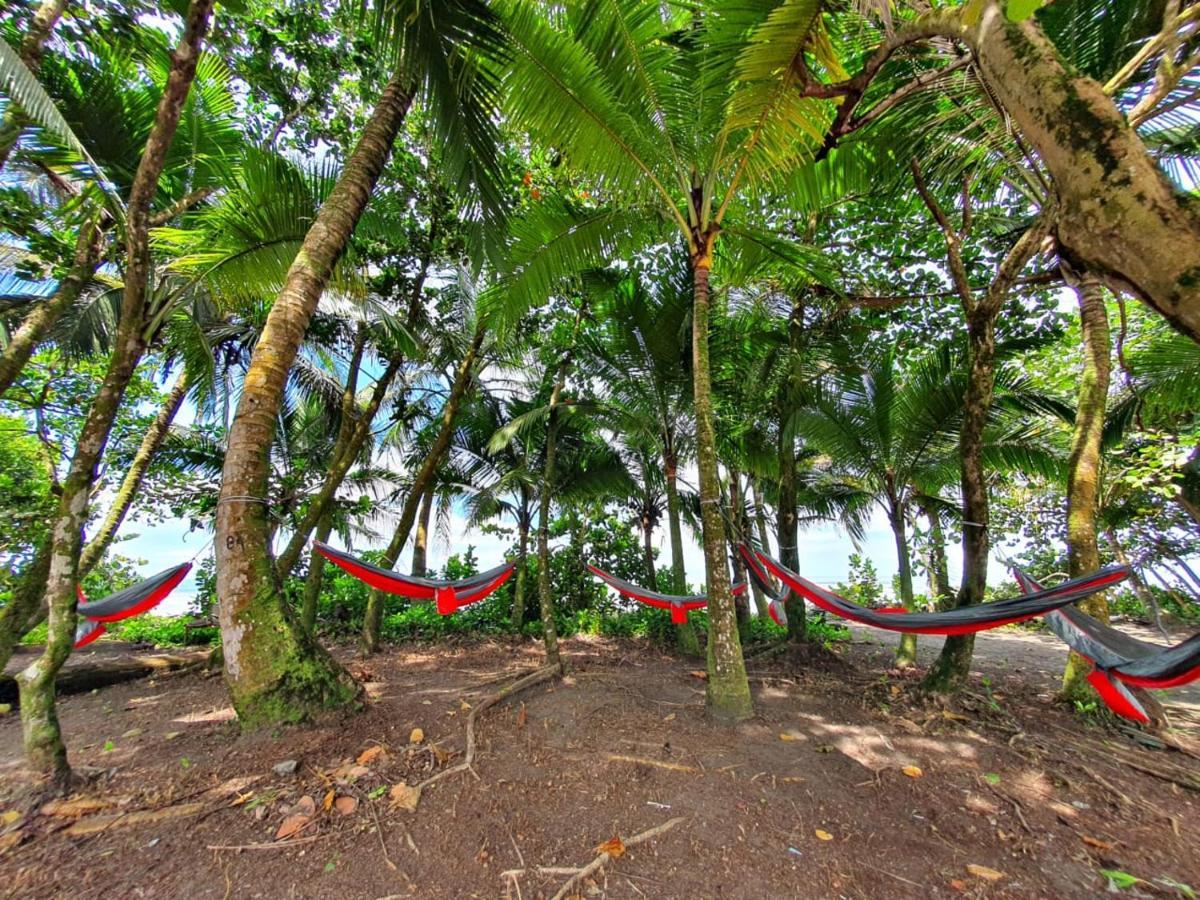 Caribbean View Apartment Tortuguero Ngoại thất bức ảnh