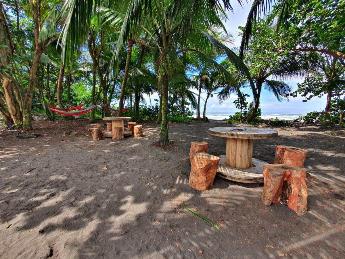 Caribbean View Apartment Tortuguero Ngoại thất bức ảnh