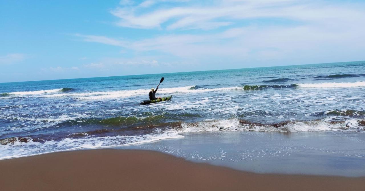Caribbean View Apartment Tortuguero Ngoại thất bức ảnh