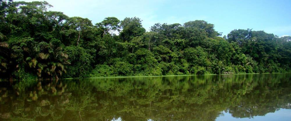 Caribbean View Apartment Tortuguero Ngoại thất bức ảnh