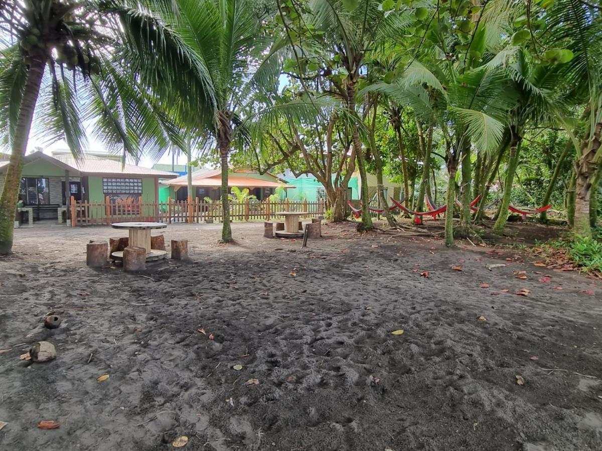 Caribbean View Apartment Tortuguero Ngoại thất bức ảnh