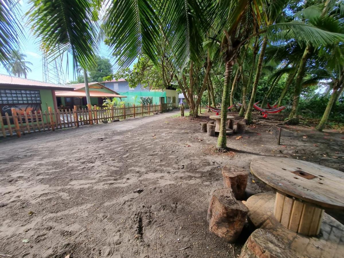 Caribbean View Apartment Tortuguero Ngoại thất bức ảnh