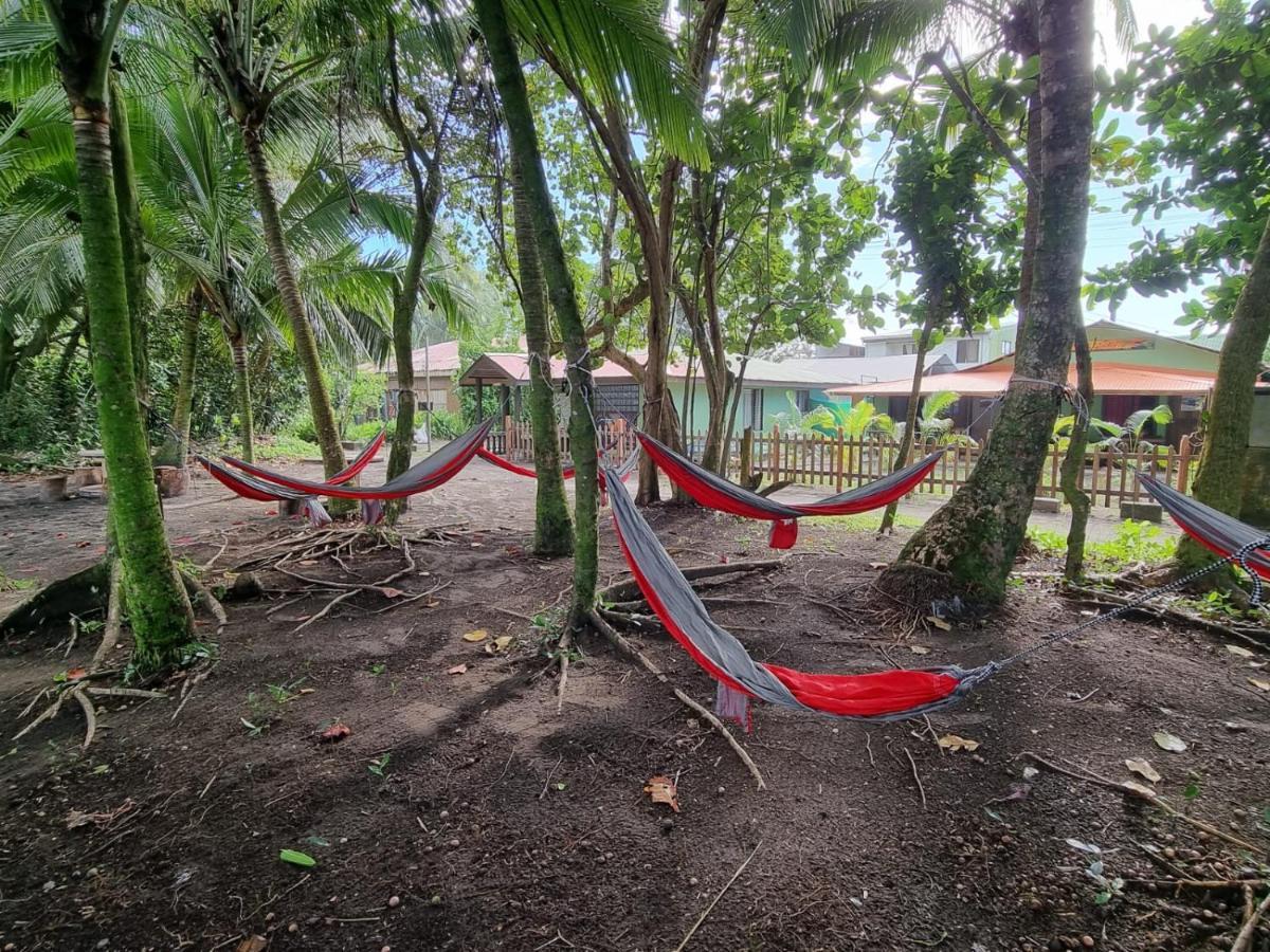 Caribbean View Apartment Tortuguero Ngoại thất bức ảnh