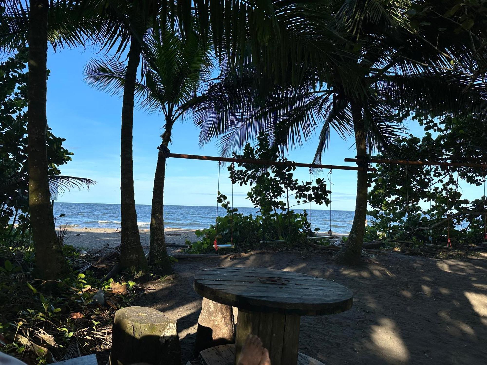 Caribbean View Apartment Tortuguero Ngoại thất bức ảnh